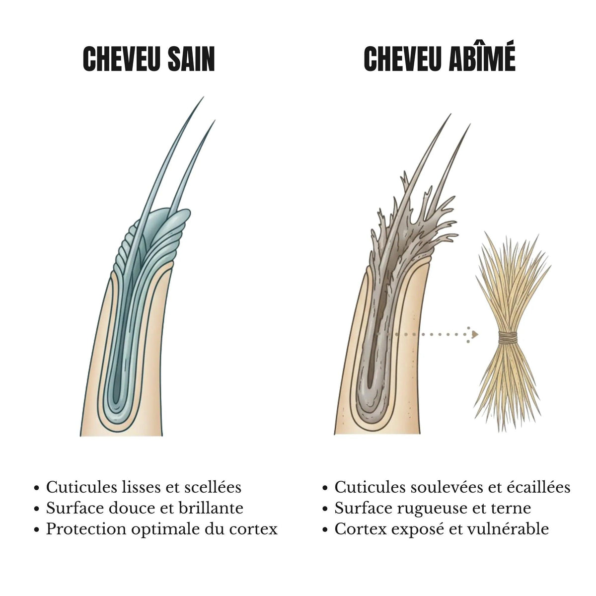 Comment réparer des cheveux très abîmés ? Le guide complet + la routine qui fonctionne